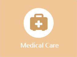 Medical Care