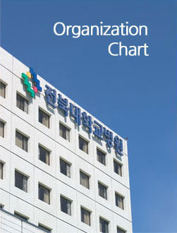 Organization Chart