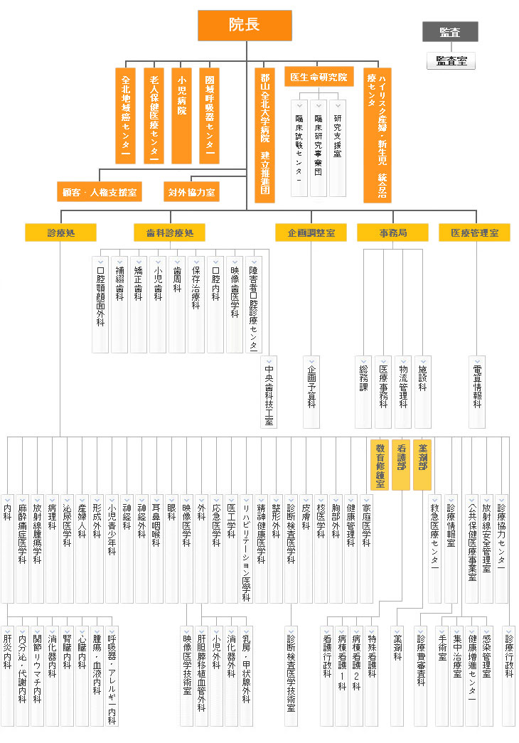 Organization Chart