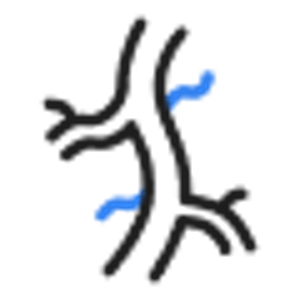 Transplantation and Vascular Surgery